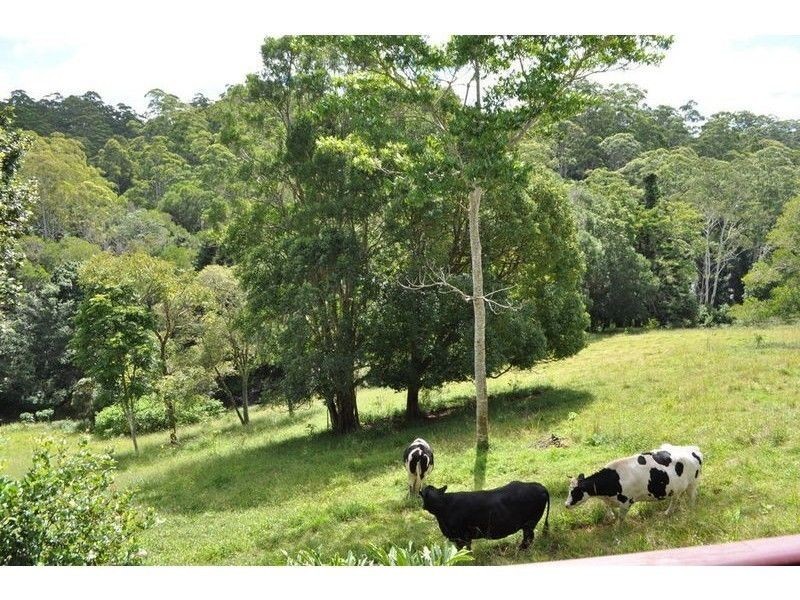 141 Ansell Road, Witta QLD 4552
