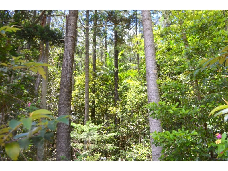 937 Maleny-Stanley River Road, Booroobin QLD 4552