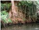 Balmoral Ridge QLD 4552