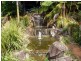 Balmoral Ridge QLD 4552