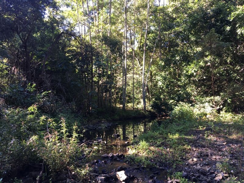 275 Harper Creek Road, Conondale QLD 4552
