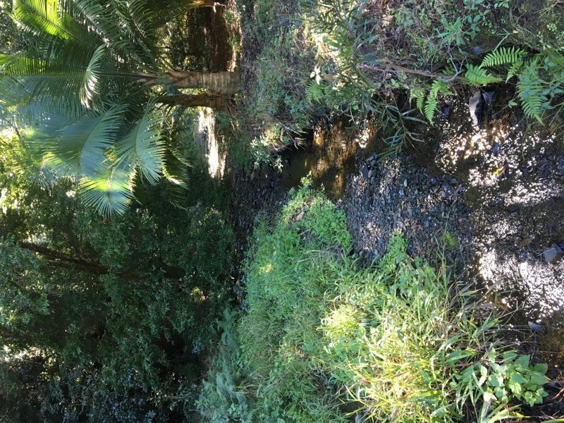 275 Harper Creek Road, Conondale QLD 4552