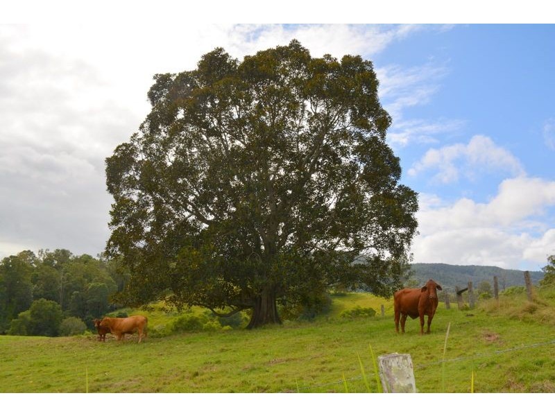 201 Aherns Road, Conondale QLD 4552