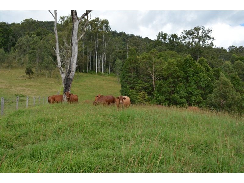 201 Aherns Road, Conondale QLD 4552