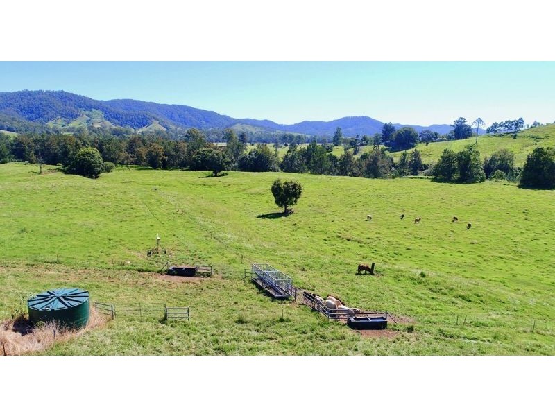 2138 Maleny Kenilworth Road, Conondale QLD 4552