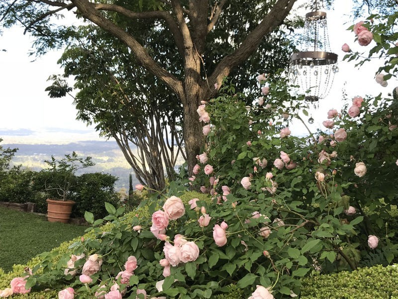 87 Balmoral Road, Montville QLD 4560