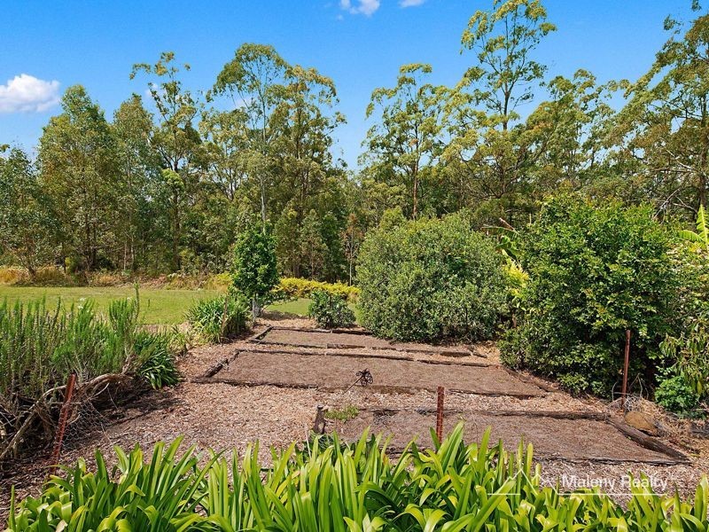 299 Corks Pocket Road, Reesville QLD 4552