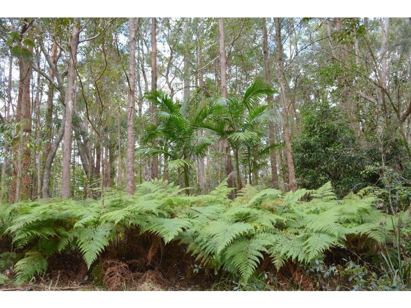 299 Corks Pocket Road, Reesville QLD 4552