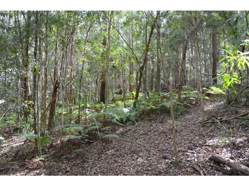 299 Corks Pocket Road, Reesville QLD 4552