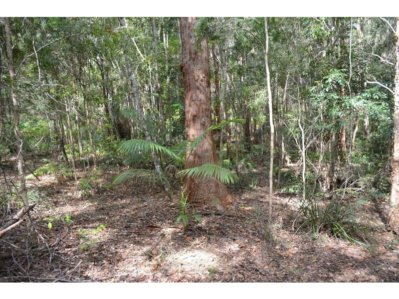 299 Corks Pocket Road, Reesville QLD 4552