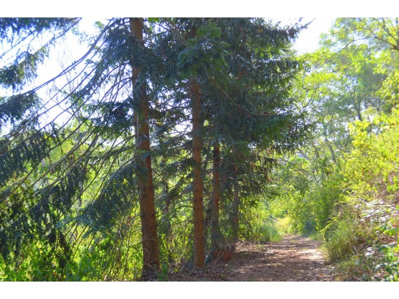 561 Clear Mountain Road, Clear Mountain QLD 4500