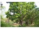 561 Clear Mountain Road, Clear Mountain QLD 4500