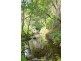 561 Clear Mountain Road, Clear Mountain QLD 4500