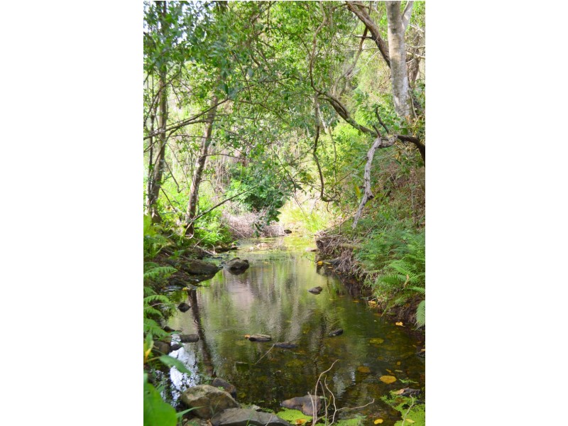 561 Clear Mountain Road, Clear Mountain QLD 4500