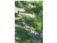 120 Postmans Track, Booroobin QLD 4552