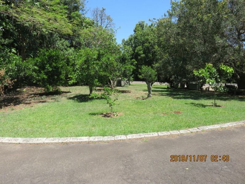 Maleny QLD 4552