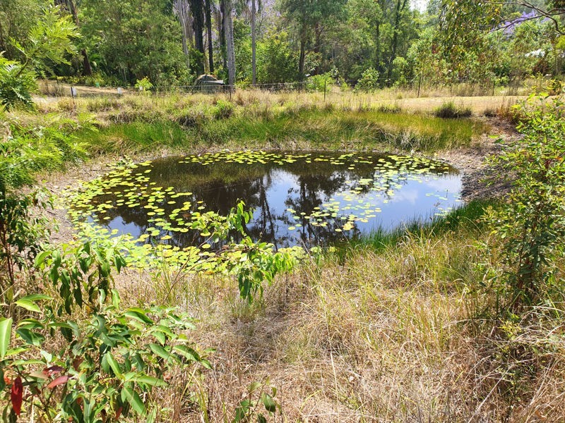 12a Meadow Lane, Conondale QLD 4552