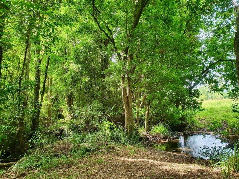 863 Kilcoy-Beerwah Road, Cedarton QLD 4514