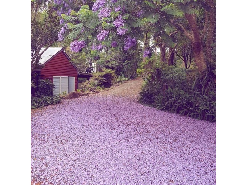 111 Ruddle Drive, Reesville QLD 4552