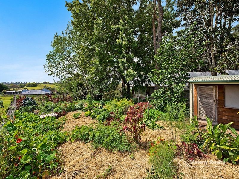 42 Avocado Lane, Maleny QLD 4552