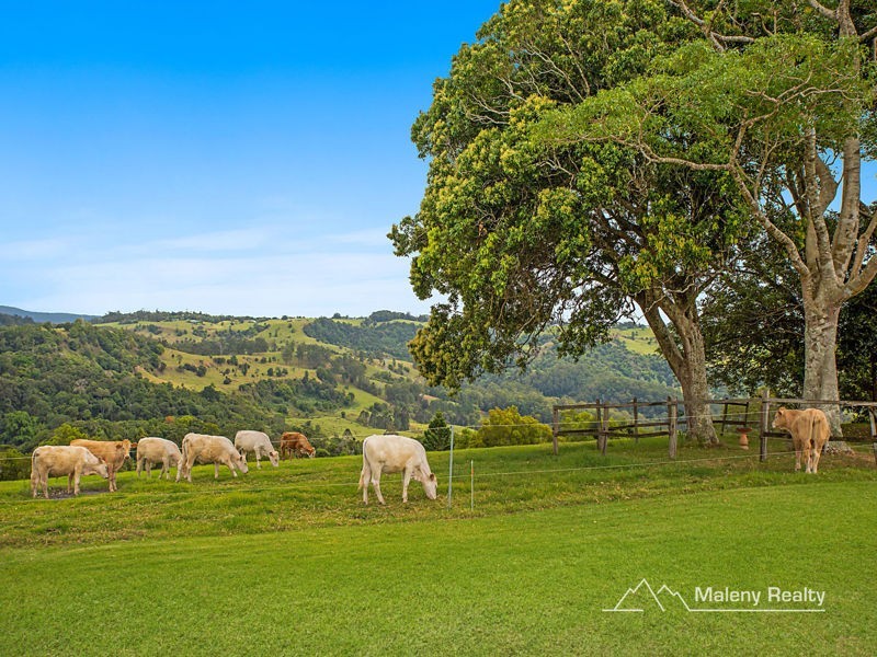 24 Trail Road, Maleny QLD 4552