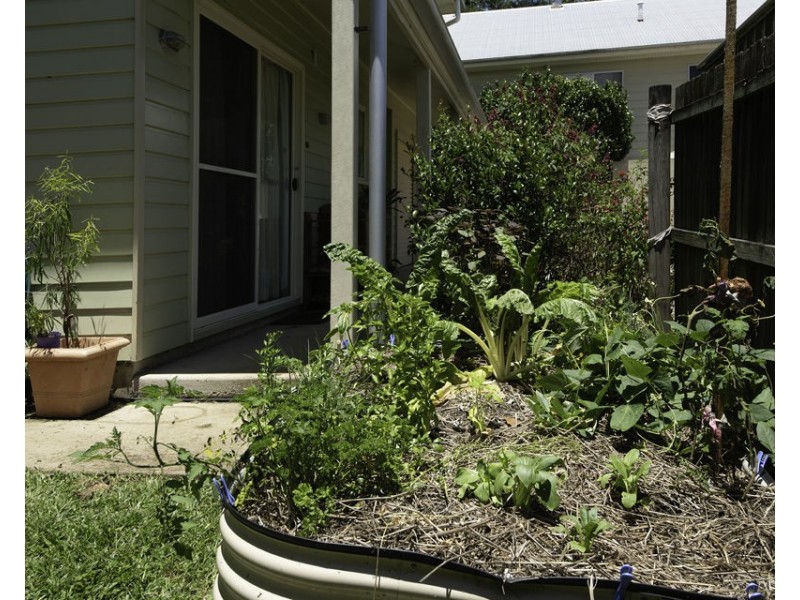 3/11 Cherry Street, Maleny QLD 4552