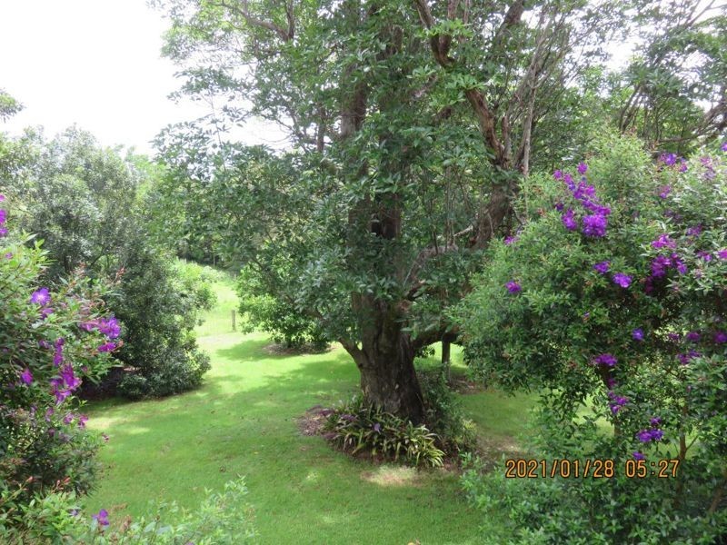 Reesville QLD 4552