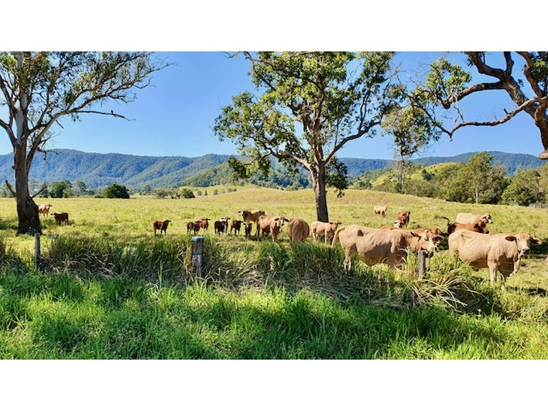 2170 Maleny Kenilworth Road.  Under Contract, Conondale QLD 4552