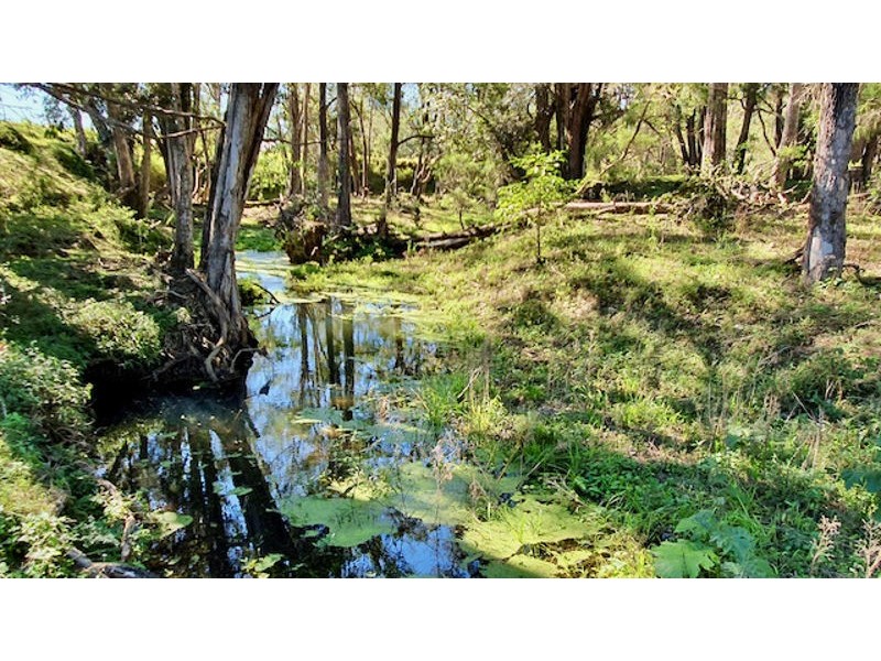 2170 Maleny Kenilworth Road.  Under Contract, Conondale QLD 4552