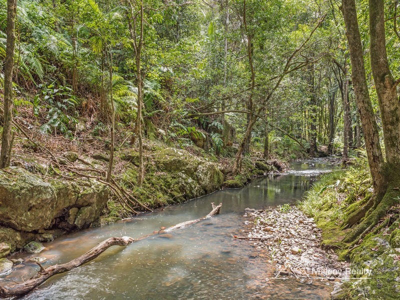 246 Bridge Creek Road, Maleny QLD 4552