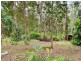 13 -10 Meadow Lane, Conondale QLD 4552