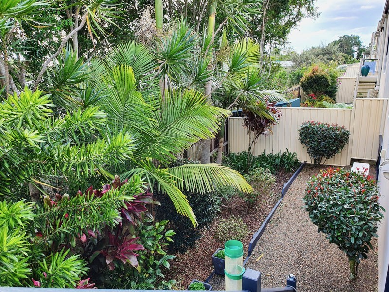 24/23 Macadamia Drive, Maleny QLD 4552