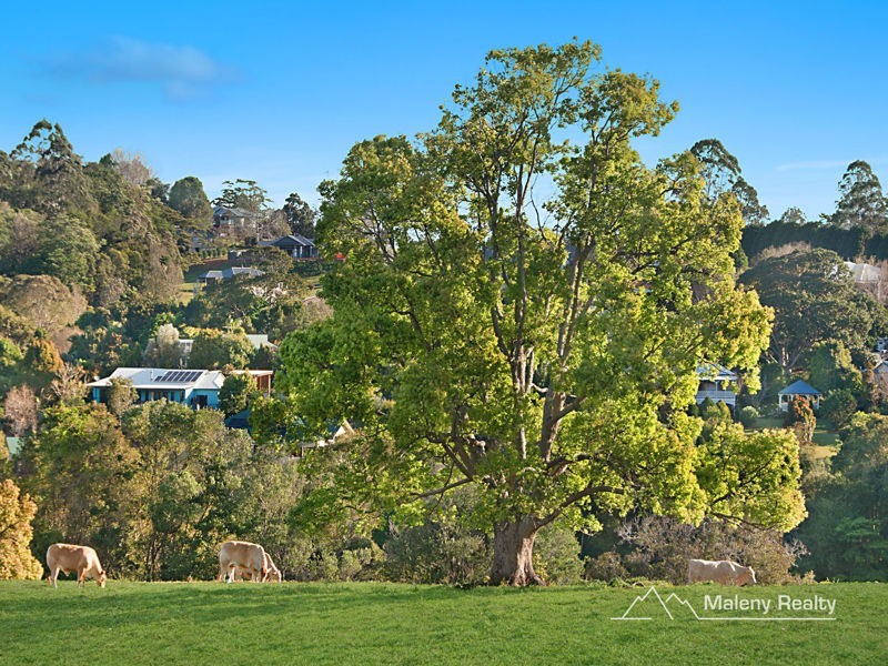 159 Tallowwood St, Maleny QLD 4552