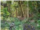 Lot 486 Goodla Rd Sandy Creek /Bellthorpe, Sandy Creek QLD 4515