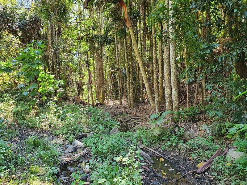 Lot 486 Goodla Rd Sandy Creek /Bellthorpe, Sandy Creek QLD 4515