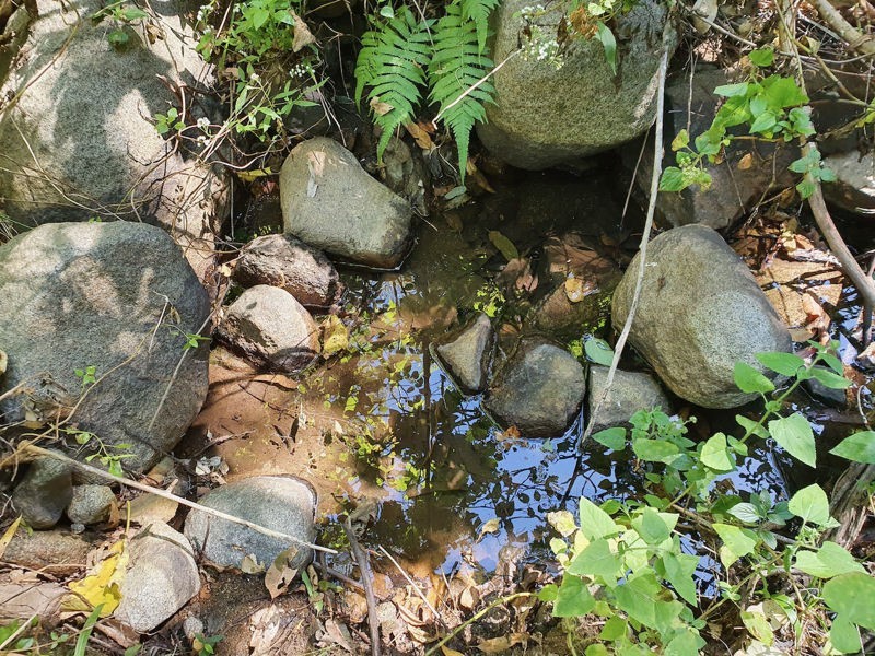 Lot 486 Goodla Rd Sandy Creek /Bellthorpe, Sandy Creek QLD 4515