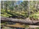 Lot 486 Goodla Rd Sandy Creek /Bellthorpe, Sandy Creek QLD 4515