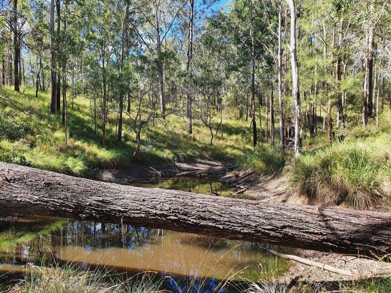 Lot 486 Goodla Rd Sandy Creek /Bellthorpe, Sandy Creek QLD 4515