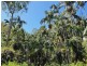 Lot 486 Goodla Rd Sandy Creek /Bellthorpe, Sandy Creek QLD 4515