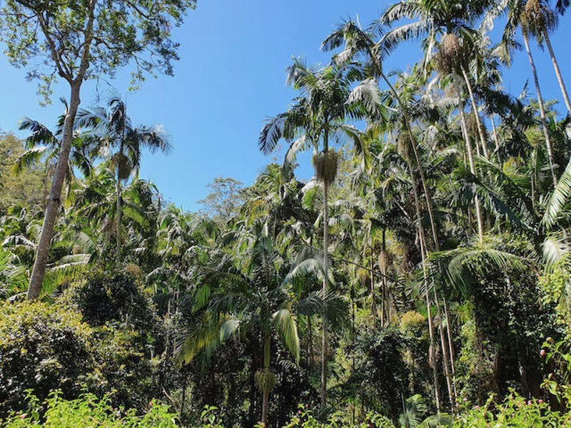 Lot 486 Goodla Rd Sandy Creek /Bellthorpe, Sandy Creek QLD 4515