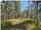 Lot 486 Goodla Rd Sandy Creek /Bellthorpe, Sandy Creek QLD 4515