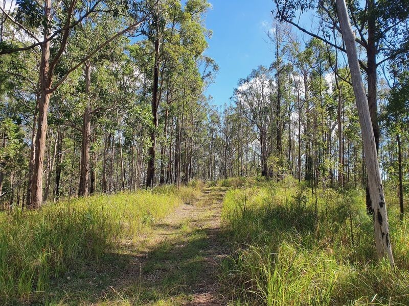 Lot 486 Goodla Rd Sandy Creek /Bellthorpe, Sandy Creek QLD 4515