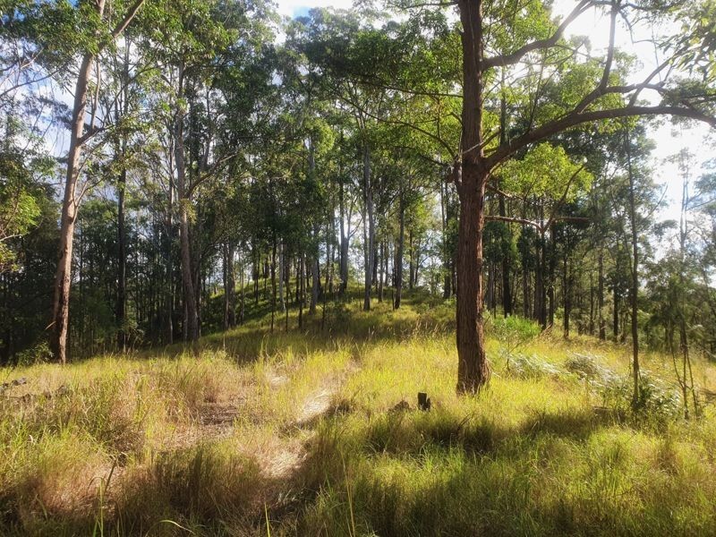 Lot 486 Goodla Rd Sandy Creek /Bellthorpe, Sandy Creek QLD 4515