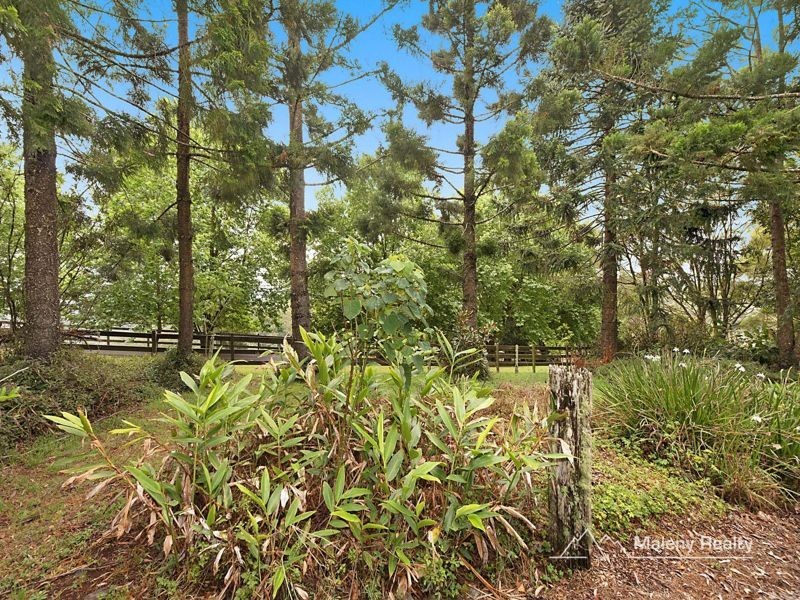 159 Burnett Lane, Wootha QLD 4552