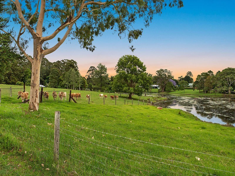 91 Berganns Road, Witta QLD 4552