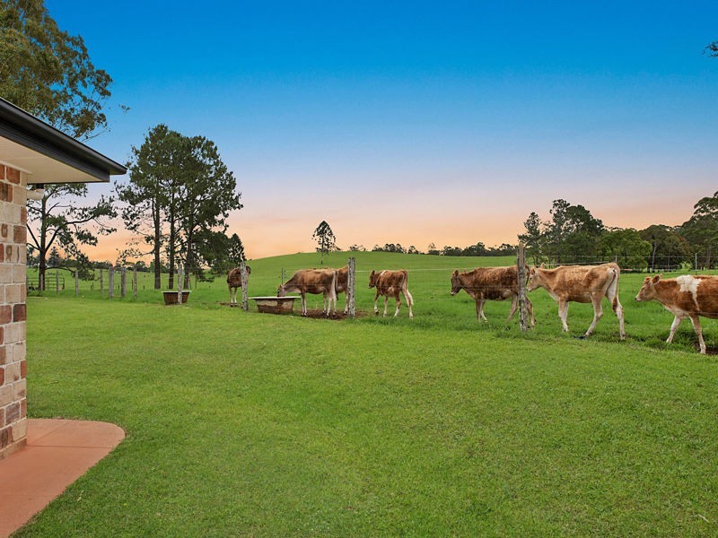 91 Berganns Road, Witta QLD 4552