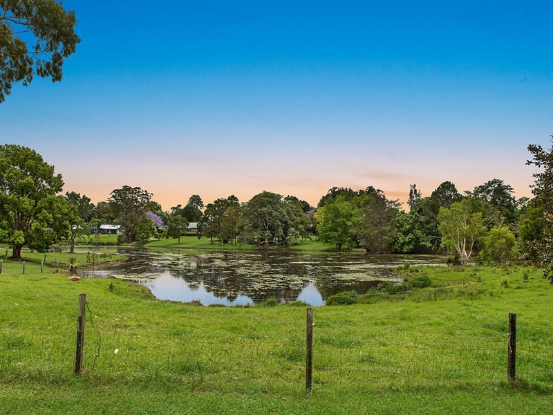 91 Berganns Road, Witta QLD 4552