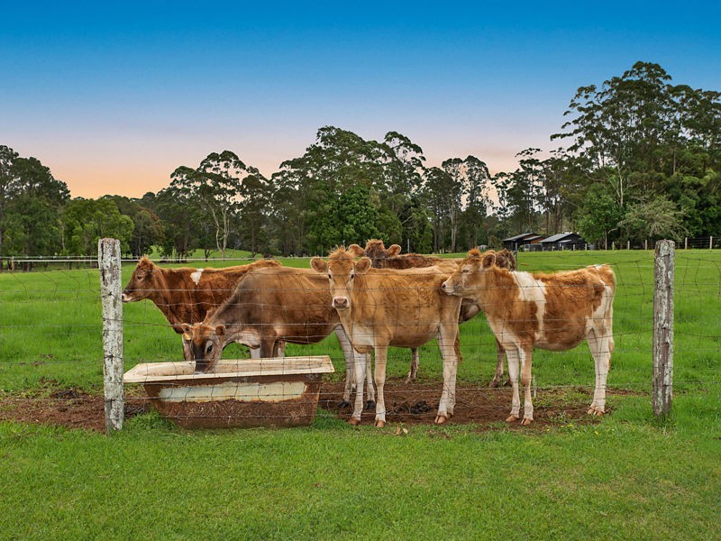 91 Berganns Road, Witta QLD 4552