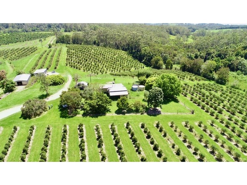 170 Bellthorpe West Road, Bellthorpe QLD 4514