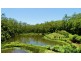 170 Bellthorpe West Road, Bellthorpe QLD 4514